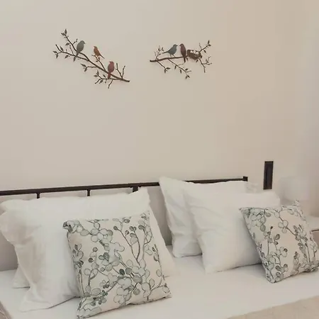 Apartment San Tomaso Historic Center -158 M - Terrace - 2 Baths - 8 Guests *